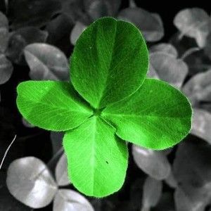 Meet your Posher, Janna